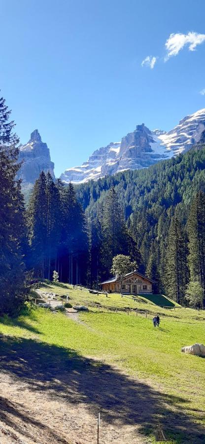 Chalet Brenta Dolomites Madonna Exterior foto