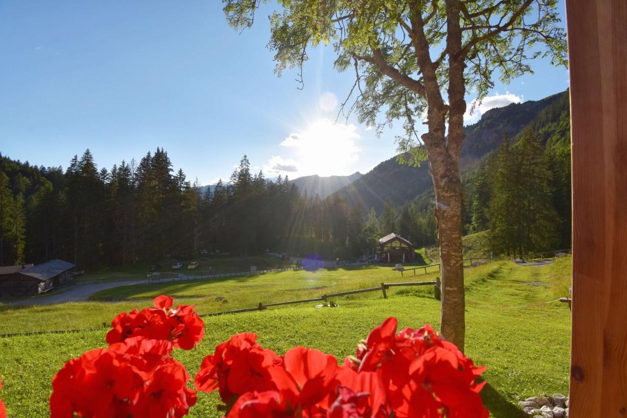 Chalet Brenta Dolomites Madonna Exterior foto