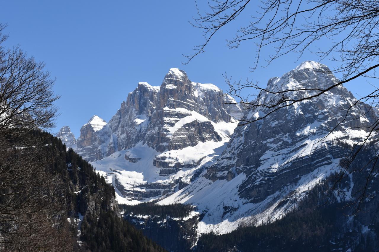 Chalet Brenta Dolomites Madonna Exterior foto